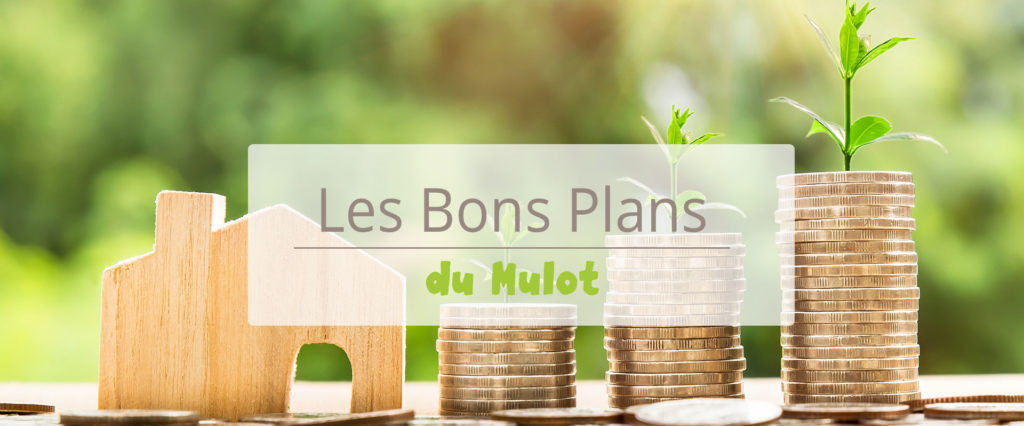 Bons plans et réductions en Bretagne avec Le Mulot !