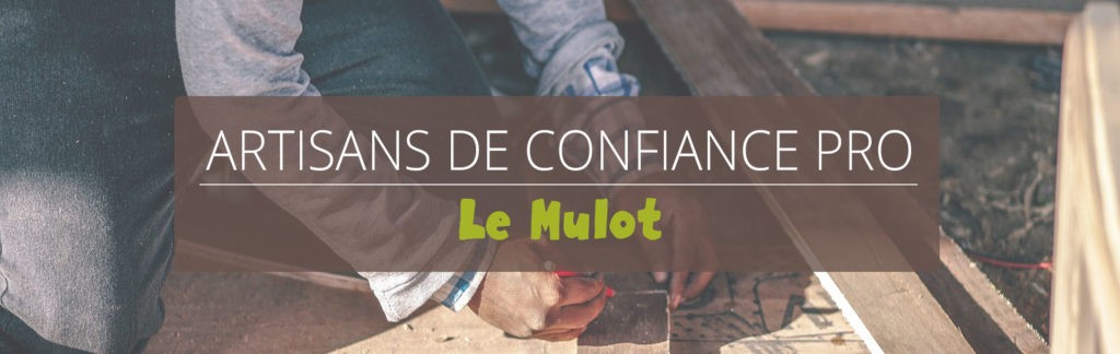 Artisans de Confiance - pro