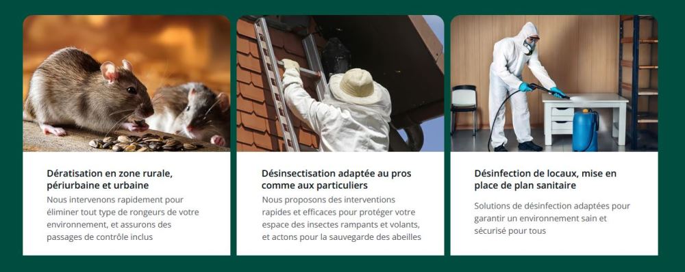Dératisation - Désinsectisation - Désinfection des locaux
